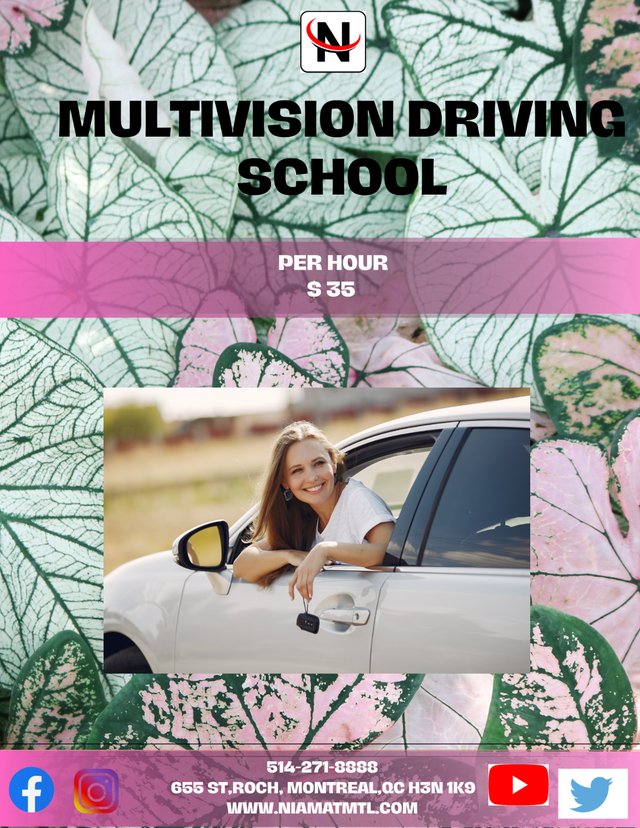 CAR DRIVING COURSE WITH PROFESSIONAL65680491659267123