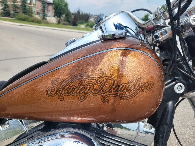 Harley Davidson Dyna Superglide 2013 in Street, Cruisers & Choppers in Calgary - Image 3