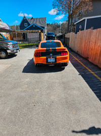2021 Shelby Mustang for sale GT500