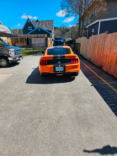 2021 Shelby Mustang for sale GT500