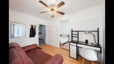 3 1/2 + balcon Ⓜ️ Papineau : MEUBLÉ Équipé + Internet Offert.