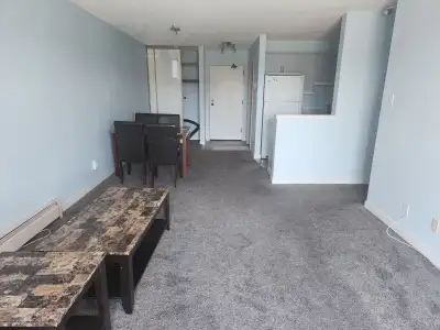 Condo for rent for $1500 rent + Electricity