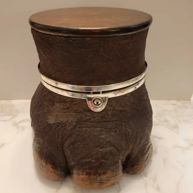 Antique taxidermy liqueur cabinet in Arts & Collectibles in City of Toronto - Image 4