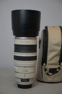Canon EF 100-400mm 1:4.5-5.6 L IS
