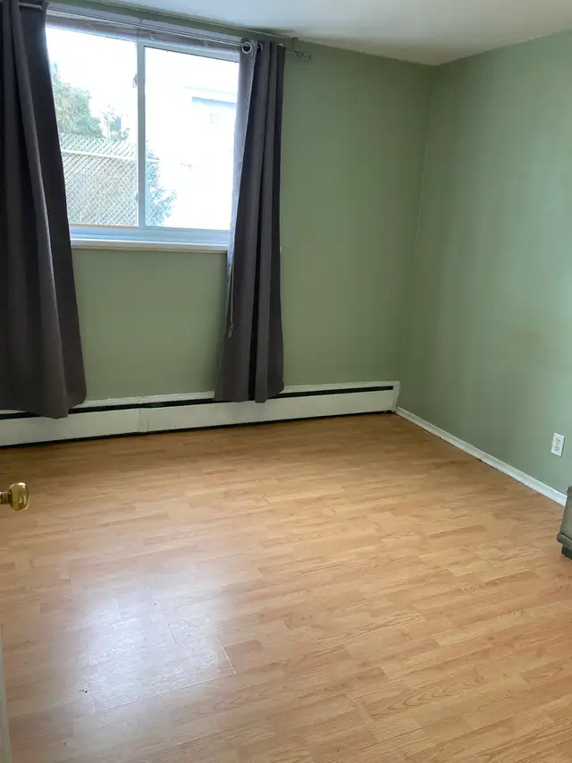 Room for rent in two bedroom apartment in Room Rentals & Roommates in Kitchener / Waterloo - Image 3