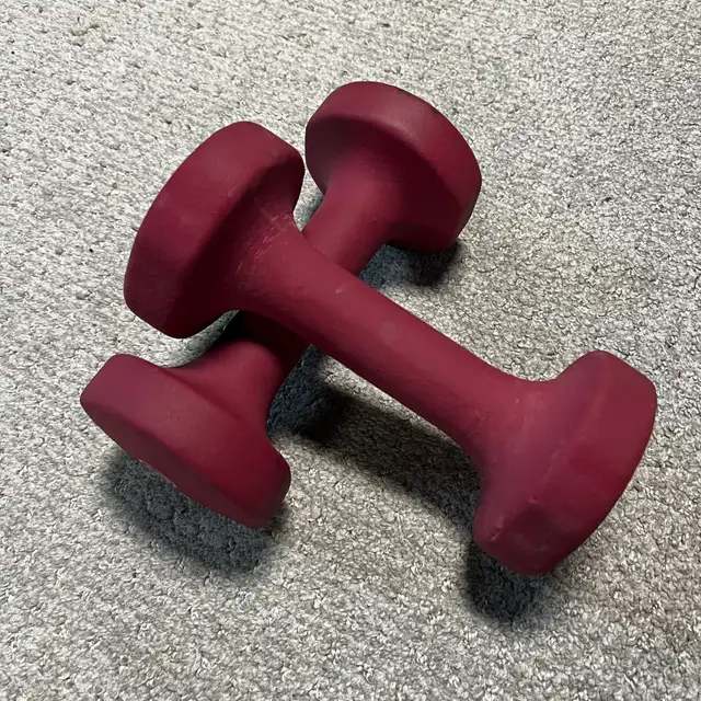 8 lbs weights in Exercise Equipment in Ottawa - Image 4