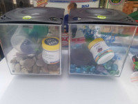 Beta Fish Tanks