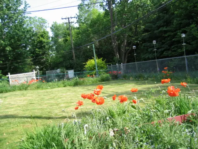 Photo 10