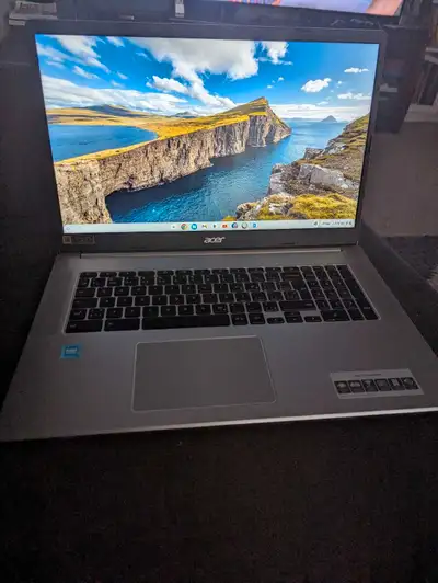 Acer Chrome Book 317 series (17" screen) is just over 3 years old. My grandfather used it only to pl...