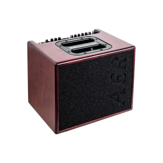 AER AMPS  finally back in Canada . in Amps & Pedals in Mississauga / Peel Region - Image 6