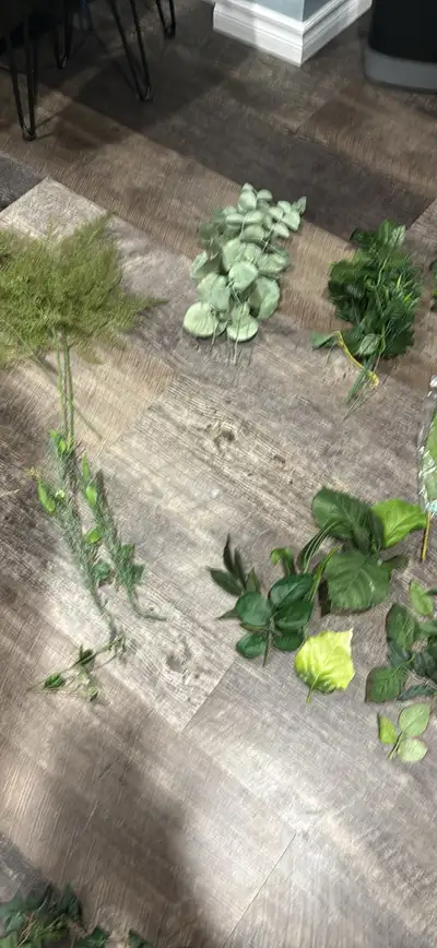 Climbing plants, ferns and others, View more