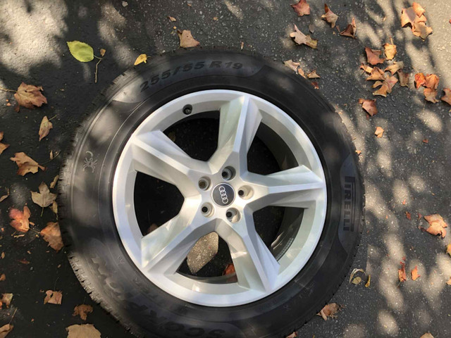 Audi Q7 255/55R19 Pirelli Scorpion winter tires with Audi rims in Tires & Rims in City of Toronto - Image 2