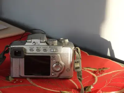 Petite caméra Lumix 12X!, View more