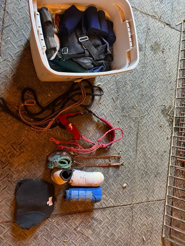 totes of horse tack in Equestrian & Livestock Accessories in North Bay - Image 3