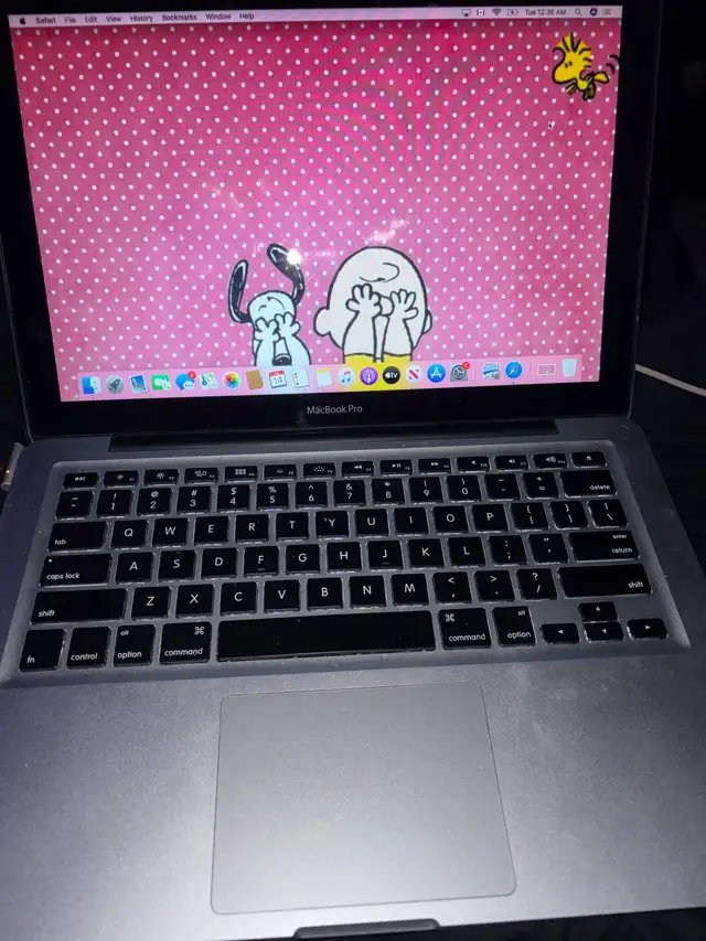 Apple MacBook Pro mid 2012509007877217996800
