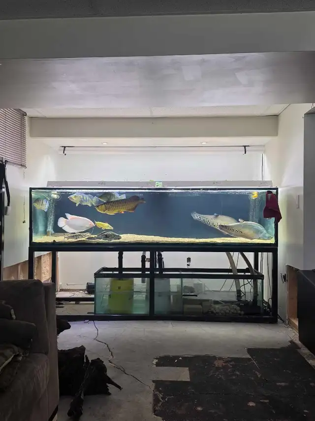 400 Gallon Tank | Fish for Rehoming | Regina | Free local classifieds ...