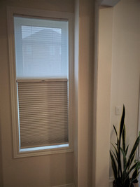 Window Blinds- Cordless Cellular Light Filtering Shades- White