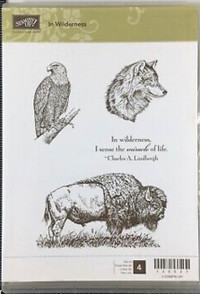 Stampin Up ‘In Wilderness’ **NEW**