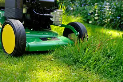 Yard maintenance in york region, View more