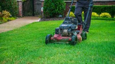 Message today to get your lawn cutting Same Day Services We offer Seasonal Quotes as well