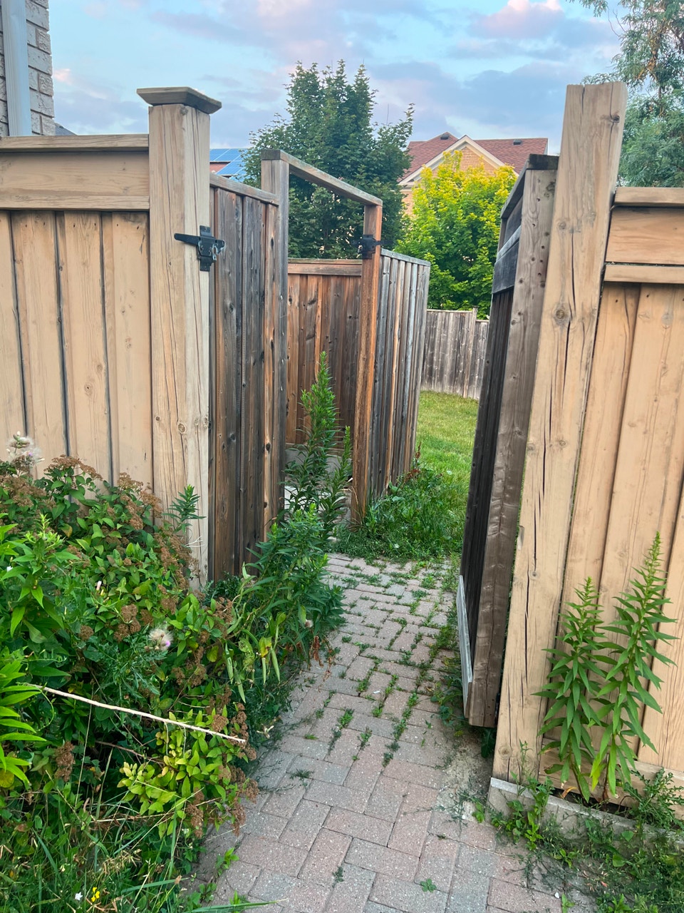 Beautiful 2 Bed 2 Bath Ground Level Basement (Yonge & Davis) 2