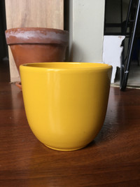 Yellow plant pot