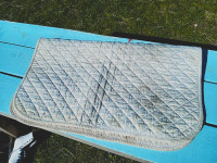 White square saddle pad