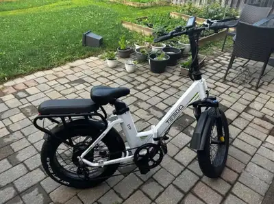 Tesgo Ebike, View more
