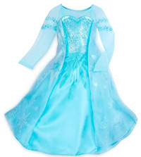 Authentic Disney Frozen Princess Elsa Dress Costume - EUC