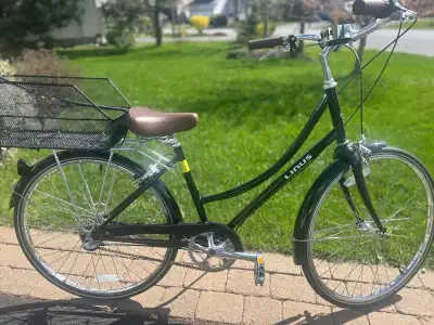 Linus Dutchi 3i City Bike and accessories , View more