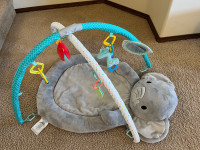 Plush Elephant Play Gym