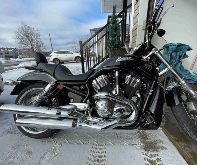 Harley Davidson - V-Rod Nightrod in Street, Cruisers & Choppers in Thunder Bay