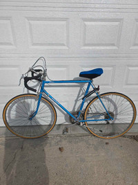 Raleigh men's bike for sale