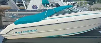 1992 Stingray with EZ trailer. Excellent condition. Mechanic stored n prepared for spring. V6 New Mo...