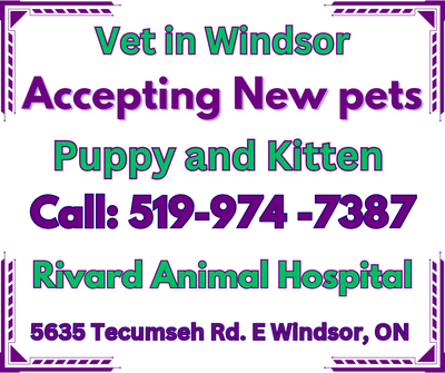 Vets in Windsor Accepting new pet, View more