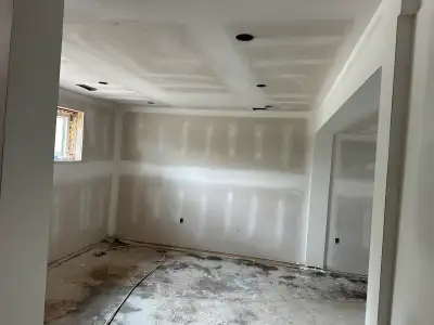 professional Painter, View more