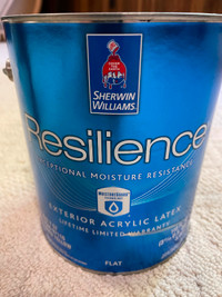 Sherwin Williams Resilient Exterior Flat Latex Paint - Goldfinch