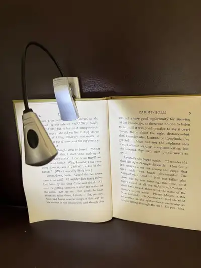 Led light clips onto book, music etc. $10 304 Frederick Ave Email shikinah1@gmail.com Call/text 705...