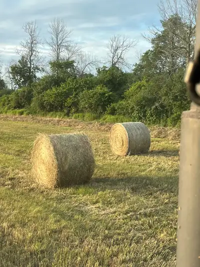 Hay round bales, View more