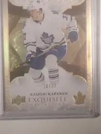 Toronto Maple Leafs hockey cards 10/10