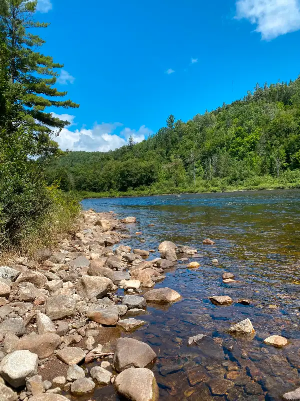 WATERFRONT NON-FLOODABLE TERRAIN62864382701313122