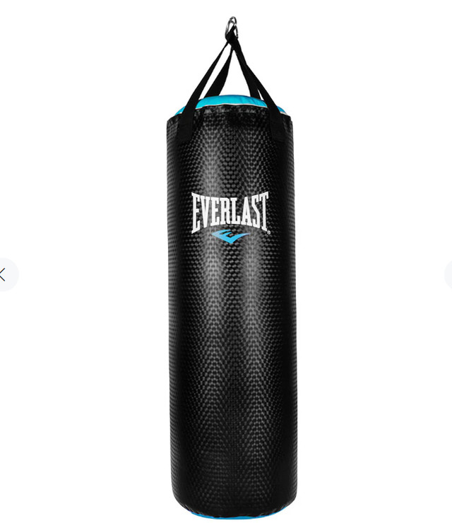 Everlast punching bag - 80 pounds of fitness in Exercise Equipment in Ottawa