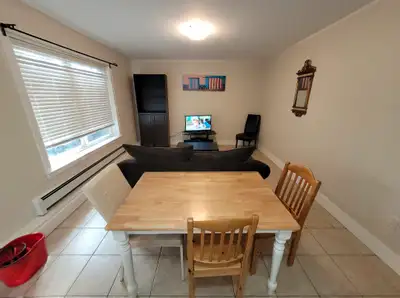 1 BR Furnished Basement Suite