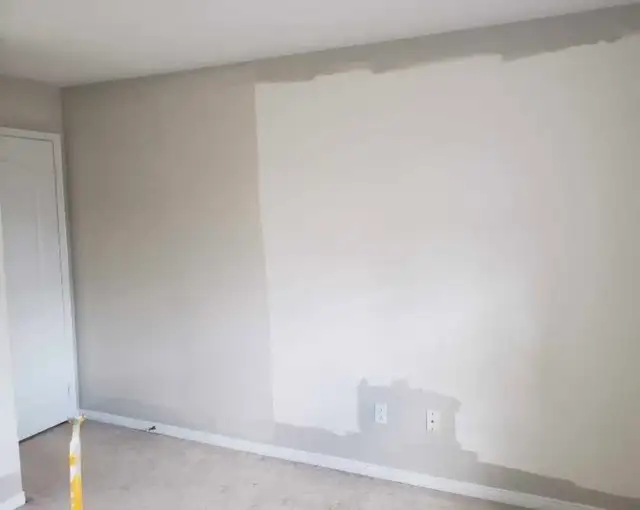 Painter Services 