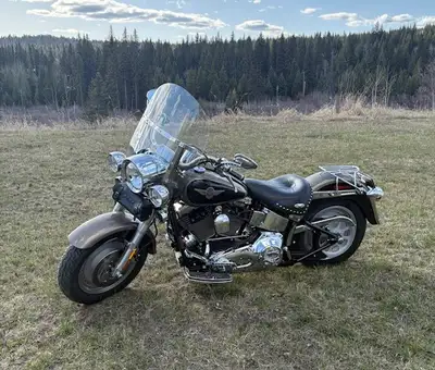 Named Roxy! Great bike runs excellent, like new. Gold and Black in color. Low mileage. Some accessor...