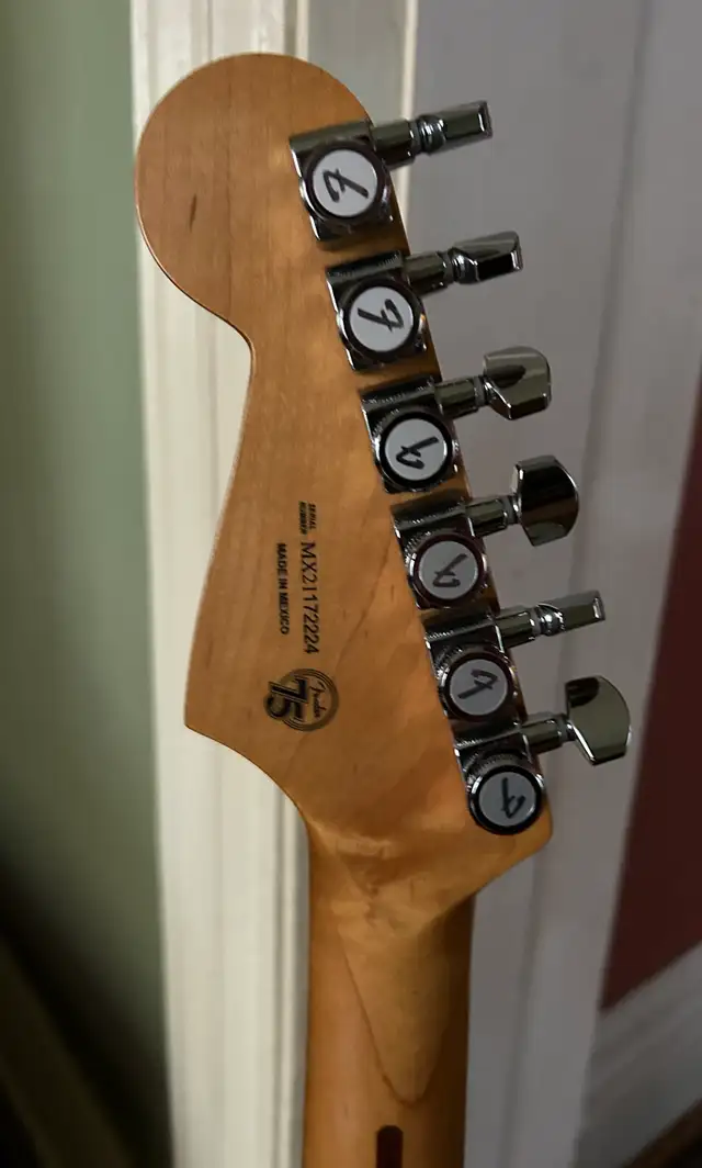 Fender Player Plus Stratocaster 442863428295075842