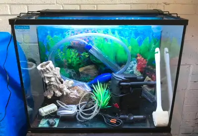 40 Gallon Fish Tank Complete Setup, View more