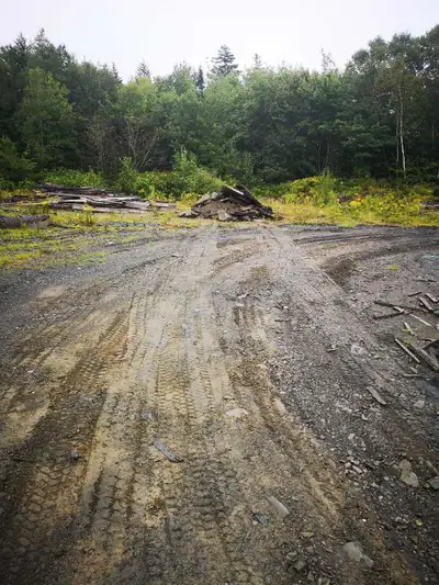 free fill wanted- upper Sackville , View more