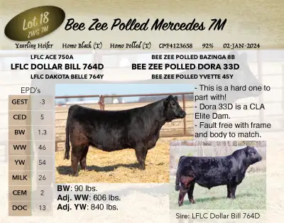12 red, black, and homo black bulls for sale. Homo Polled, double polled, options available. Extreme...