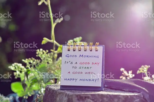 ⭐️NEW JOJO Starting Jan12. in Massage Services in Edmonton - Image 6